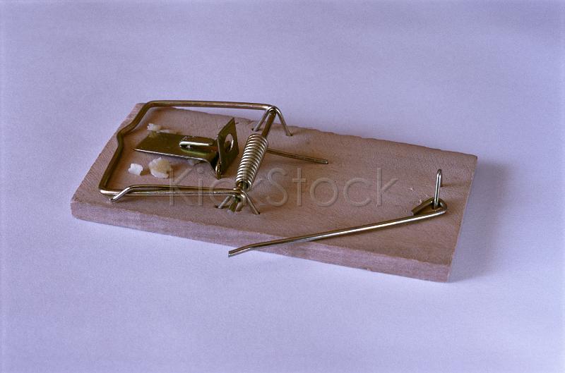 an spring mouse trap