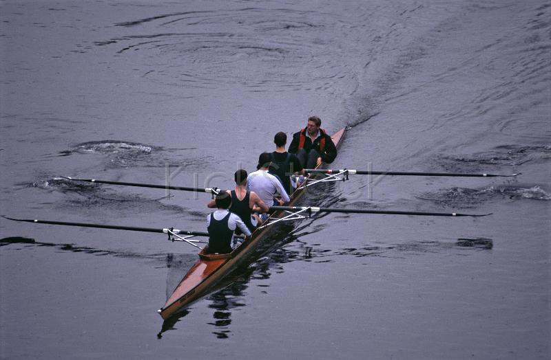 5 men rowing team